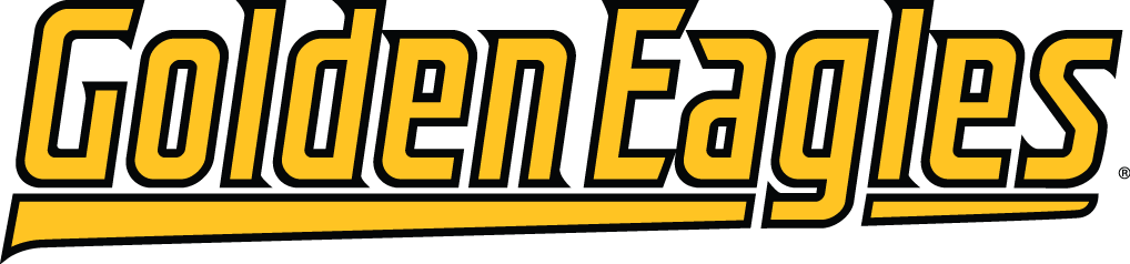 Southern Miss Golden Eagles 2003-Pres Wordmark Logo v2 diy iron on heat transfer